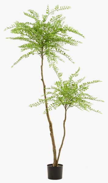 Künstlicher Bogenhanf Sansevieria mit gelbgrünen Blättern im schwarzen Kunststofftopf.