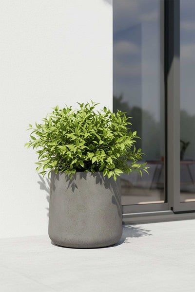Großer runder Pflanztopf in Betonoptik mit einer buschigen grünen Pflanze auf einer Terrasse neben einer Hauswand und Glastür.