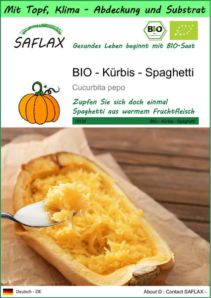 SAFLAX Garden to go - BIO - Kürbis - Spaghetti - Cucurbita pepo - 5 Samen - Mit Topf, Klima - Deckel und Anzuchtsubstrat