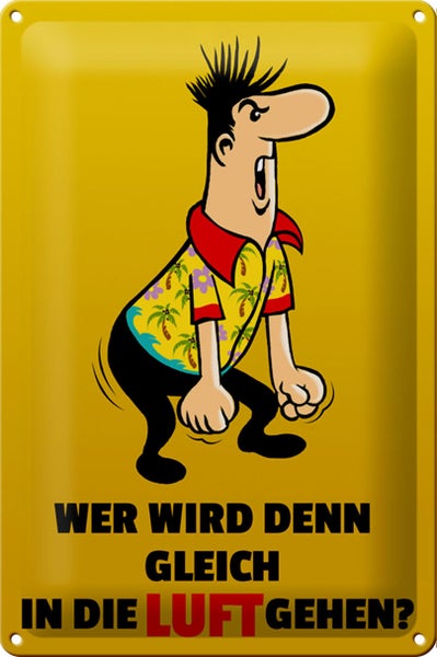 Blechschild Spruch 20x30cm Wer wird denn gleich in Luft gehen