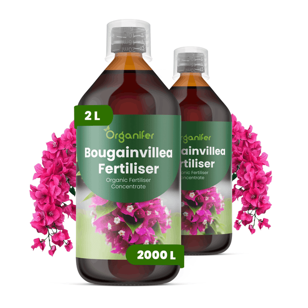 Organifer Bougainvillea-Dünger, organisches Düngerkonzentrat, 2 Liter Flasche für 2000 Liter Gießwasser.