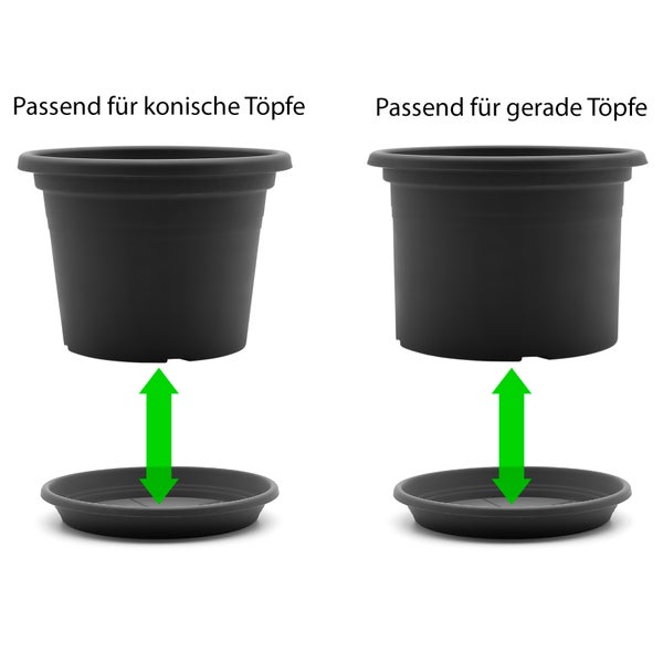 T BigDean 20 Stück Blumentopf Untersetzer Ø 16,5 cm in Anthrazit – Topfuntersetzer aus robustem Kunststoff & Made in Europe