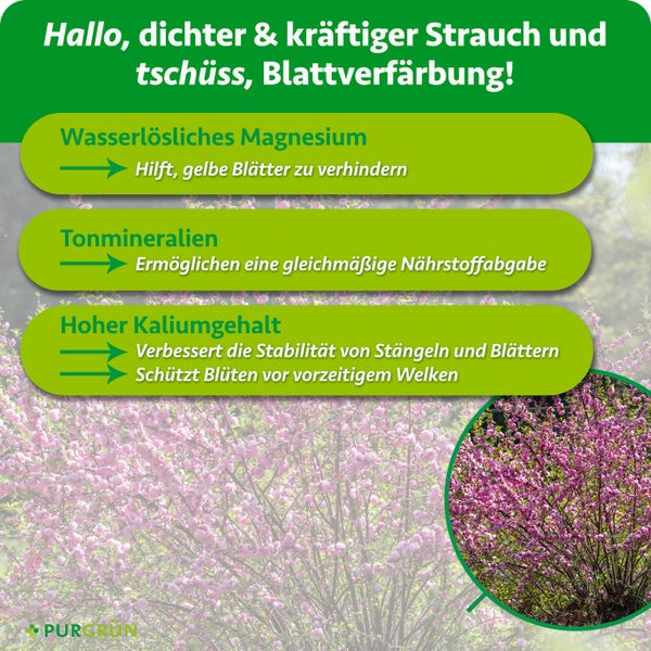 Infografik über Pflanzendünger mit Angaben zu Magnesium Tonmineralien und Kalium für einen kräftigen Strauch mit Blüten inklusive Purgrün Logo.