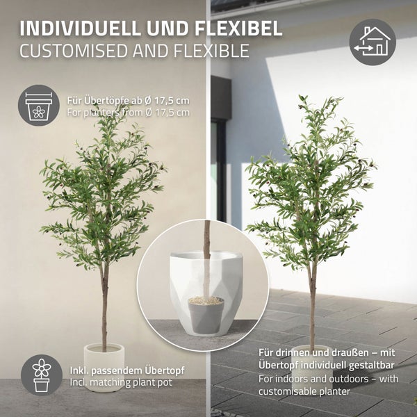 Dekorativer Olivenbaum für den Innen- und Außenbereich