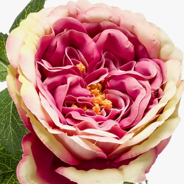 Künstliche Rose in Pink und Creme mit grünen Blättern für die Dekoration.