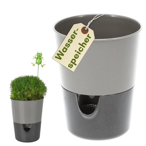 Grauer Blumentopf aus Kunststoff mit integriertem Wasserspeicher, zweiteilig, Beispielansicht mit kleiner Pflanze und Deko-Froschstecker.