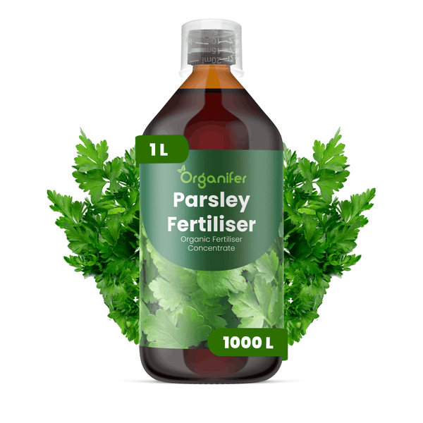 Organifer Petersiliendünger, organisches Düngerkonzentrat, 1 Liter Flasche, ergibt 1000 Liter.