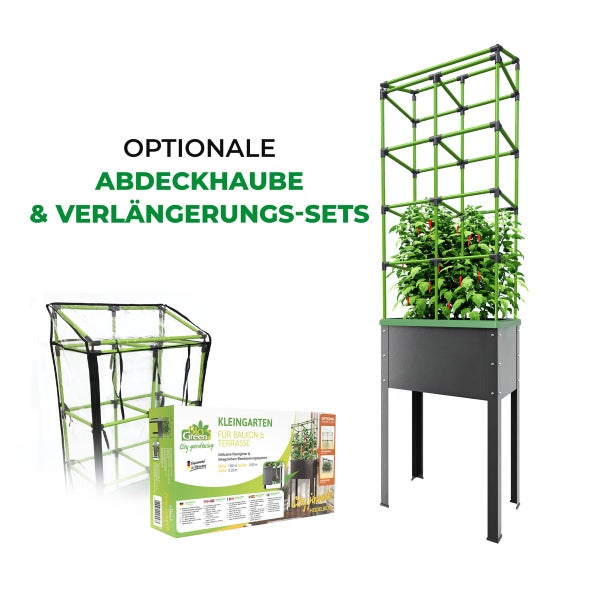 Tamariske Pflanze mit kleinen Blüten