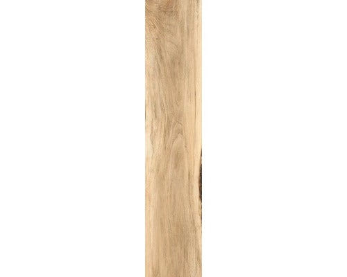 Wand- und Bodenfliese Blade natur clair 24x120cm
