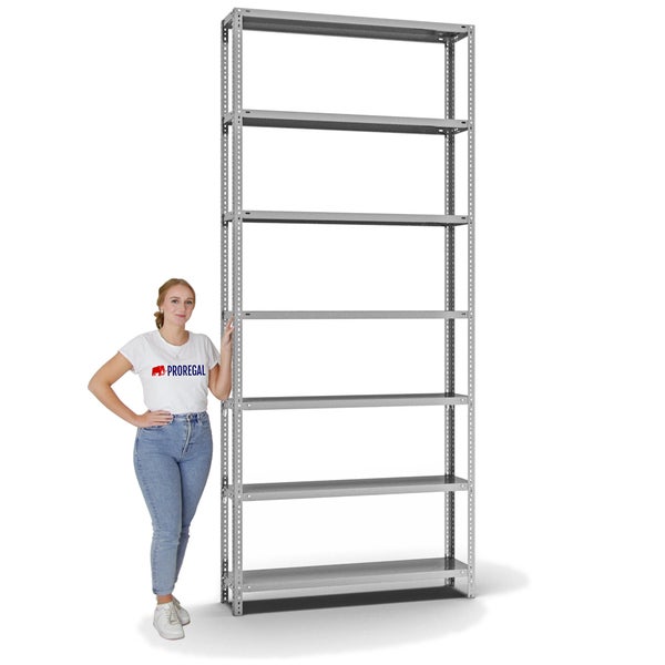 PROREGAL Fachbodenregal Schraubsystem Heavy-Duty Grundregal HxBxT 300 x 130 x 30 cm 7 Ebenen Fachlast 350 kg Beidseitig Nutzbar Verzinkt