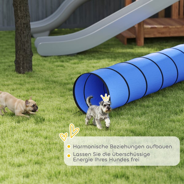 Zwei kleine Hunde spielen im Garten mit einem blauen Agility-Tunnel auf einer Rasenfläche neben einer Rutsche.