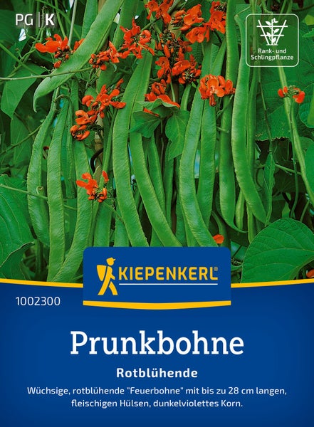 Kiepenkerl Prunkbohne Rotblühende Samen für eine wüchsige Feuerbohne mit langen fleischigen Hülsen und dunkelviolettem Korn.