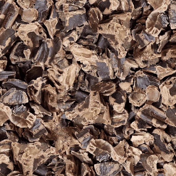 Nahaufnahme von Kakaoschalenmulch als Bodenbedeckung