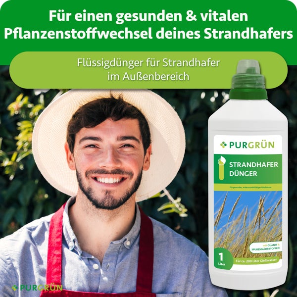 Purgrün Strandhafer Flüssigdünger 1 Liter mit Guano und Spurennährstoffen zur Förderung von gesundem Wachstum im Außenbereich