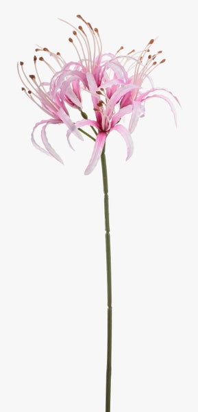 Künstliche Nerine mit rosa Blüten und grünem Stiel.