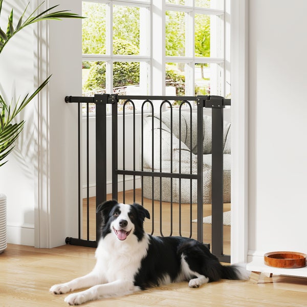 Schwarzes Schutzgitter vor einer Tür mit einem Hund davor
