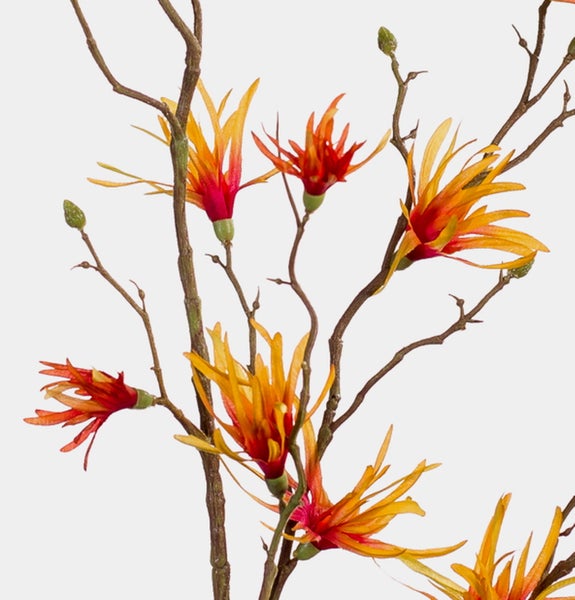 Künstlicher Hamameliszweig mit orange-roten Blüten und grünen Knospen.