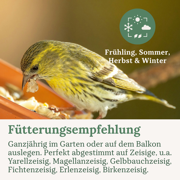 Ein Zeisig frisst Vogelfutter. Abbildung mit Symbol für ganzjährige Fütterung und Fütterungsempfehlung für Zeisige im Garten oder auf dem Balkon.