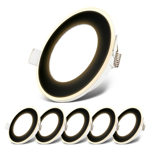 Luftpflanze auf Lavasteinen