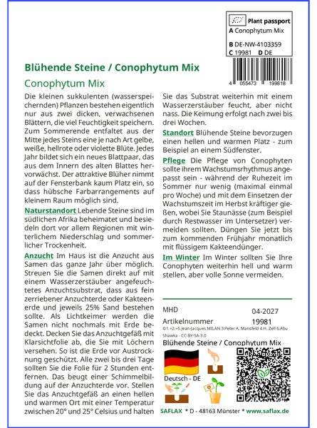 SAFLAX Garden in the bag - Blühende Steine / Conophytum Mix - Conophytum Mix - 40 Samen - Mit Anzuchtsubstrat im praktischen, selbst aufstellenden Beutel
