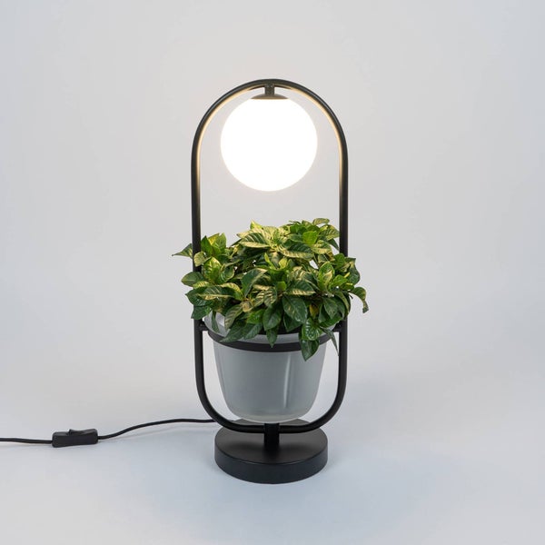Lindby Tischlampe Orna (Modern) in Schwarz aus Metall (1 flammig, G9) - Tischleuchte Schreibtischlampe Nachttischlampe Wohnzimmerleuchte
