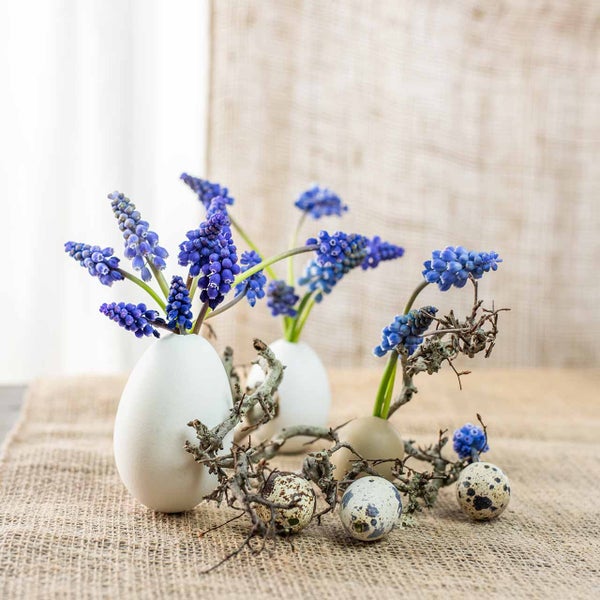 Dekorative Szene mit Traubenhyazinthen in Eier Vasen und Wachteleiern auf Sackleinen