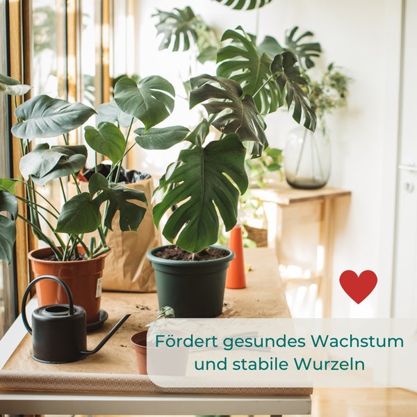 Blumenerde 40 L Anzuchterde Gartenerde Universalerde Pflanzenerde Blumen Pflanzen Erde Hochbeeterde gebrauchsfertig