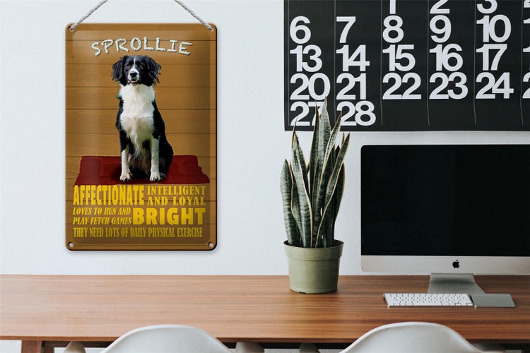 Blechschild Spruch 20x30cm Sprollie Hund intelligent loyal
