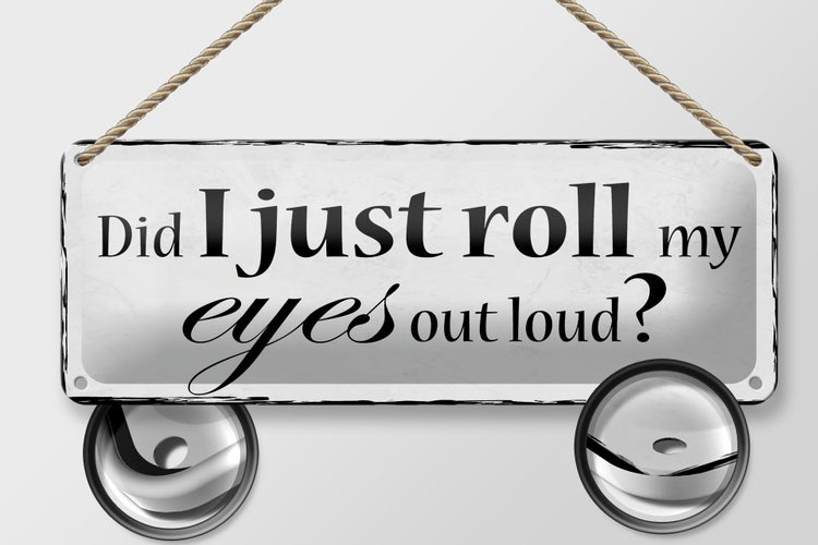 Blechschild Spruch 27x10cm did i just roll my eyes out loud Dekoration