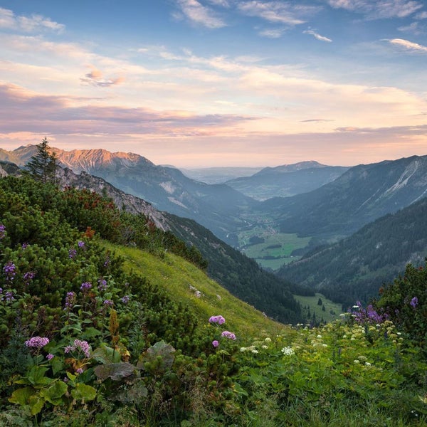 Panorama einer Berglandschaft mit Vegetation