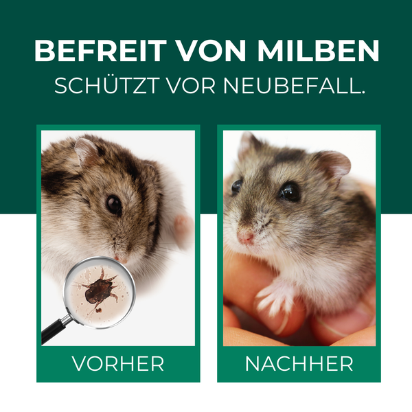 Silberkraft Milbenspray Hamster 500 ml – Milbenmittel für Hamster, Meerschweinchen & Nager, hochwirksame Milbenabwehr für Fell & Käfig, Sofort- & Langzeitschutz, hergestellt in Deutschland