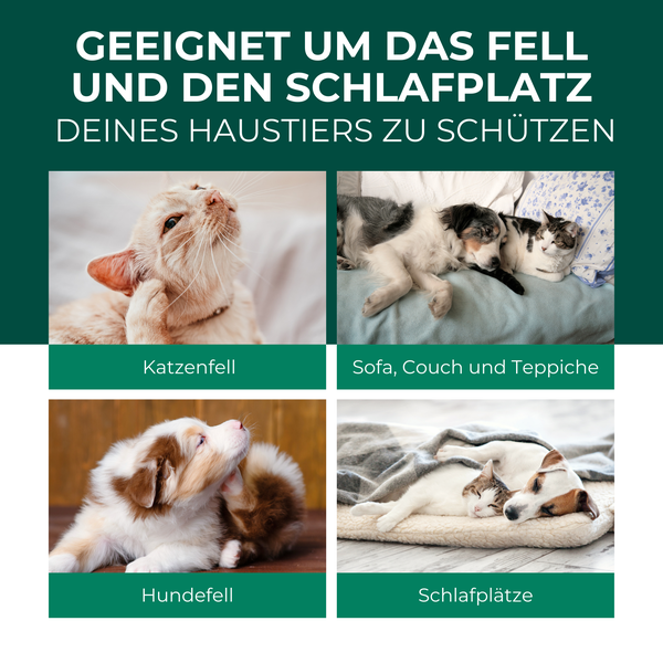 Silberkraft Flohspray für Hunde und Katzen 500 ml, Repellent mit starker Wirkung, Anwendung bei akutem Befall, Flöhe aus dem Fell fernhalten, Made in Germany