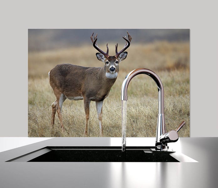 Küchen Spritzschutz | Küchenrückwand | Alu-DiBond | Fliesenschutz für den Herd und Spüle | Küche | Küchenfliesen | Fliesenspiegel | Rückwand, Größe: 60 x 40 x 0.3 cm Küchenrückwand und Spritzschutz Hirsch