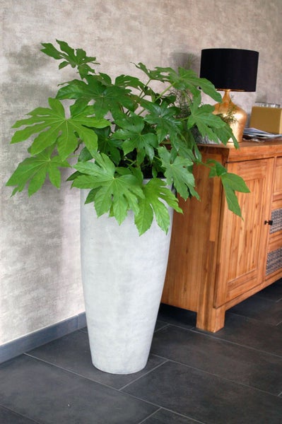 Hoher konischer Pflanzkübel in Betonoptik mit einer großen grünen Zimmerpflanze in einem modernen Wohnzimmer neben einem Holzschrank.