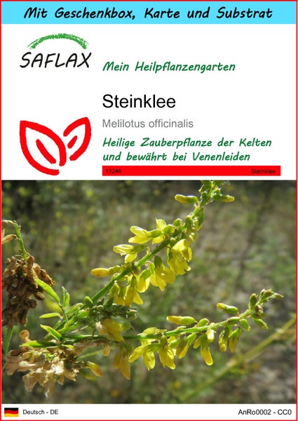 SAFLAX Geschenk Set - Steinklee - Melilotus officinalis - 250 Samen - Mit Geschenkbox, Versandaufkleber, Geschenkkarte und Anzuchtsubstrat
