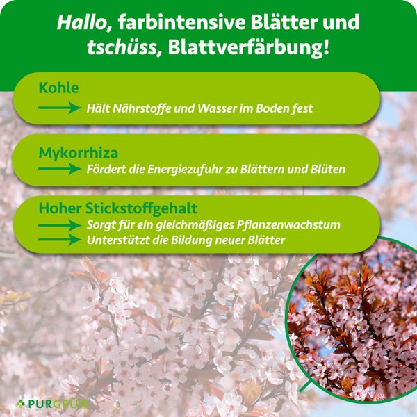 Infografik zur Anwendung von Düngergranulat in zwei Schritten: Abmessen und Verteilen. Mit Anwendungskalender für Frühjahr und Sommer. Purgrün Logo.