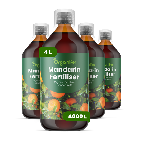 Vier Flaschen Organifer Mandarinen-Dünger, organisches Düngerkonzentrat in braunen Kunststoffflaschen mit Messkappen, 4 Liter Gesamtinhalt.