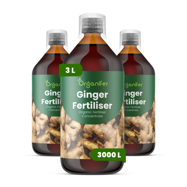 Organifer Physalis Dünger, organisches Düngerkonzentrat, 10 Liter Kanister für 10000 Quadratmeter.