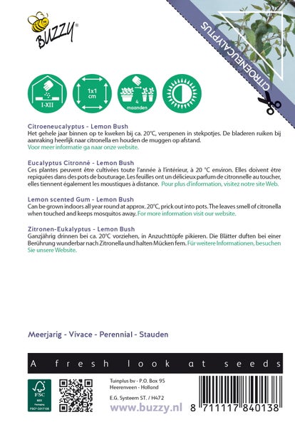 Zitronen-Eukalyptus Lemon Bush Verpackung