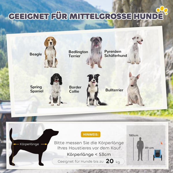 Infografik für Hundetransport: Geeignet für mittelgroße Hunde bis 20 Kilogramm und 53 Zentimeter Körperlänge, wie Beagle oder Border Collie.