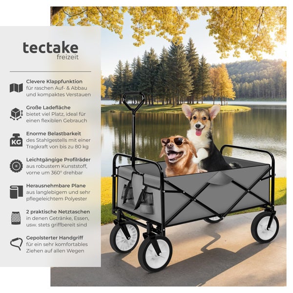 Bollerwagen tectake  Belastbarkeit 80 kg faltbar grau