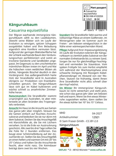 SAFLAX  - Känguruhbaum - Casuarina equisetifolia - 200 Samen