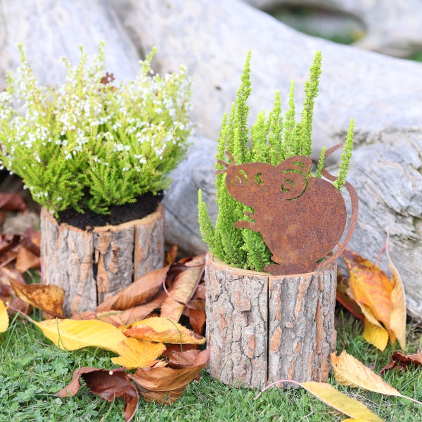 Dekorative Heidepflanzen in Baumstamm-Pflanzgefäßen mit einer Rost-Maus-Figur