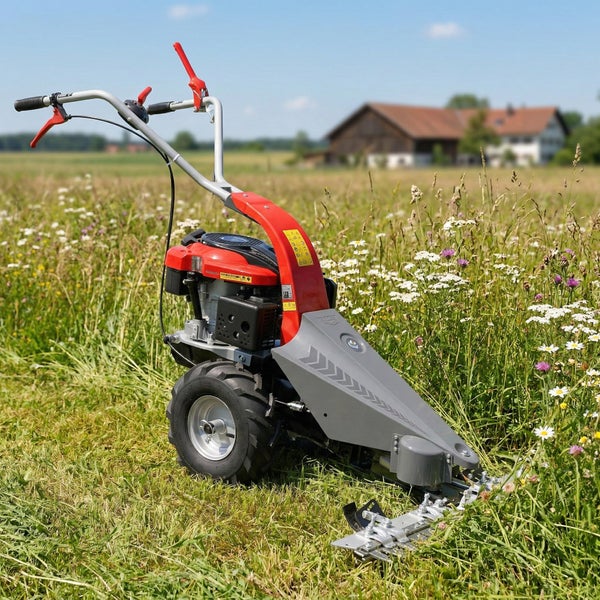 Hochgras-Wiesenmäher auf einer Wiese