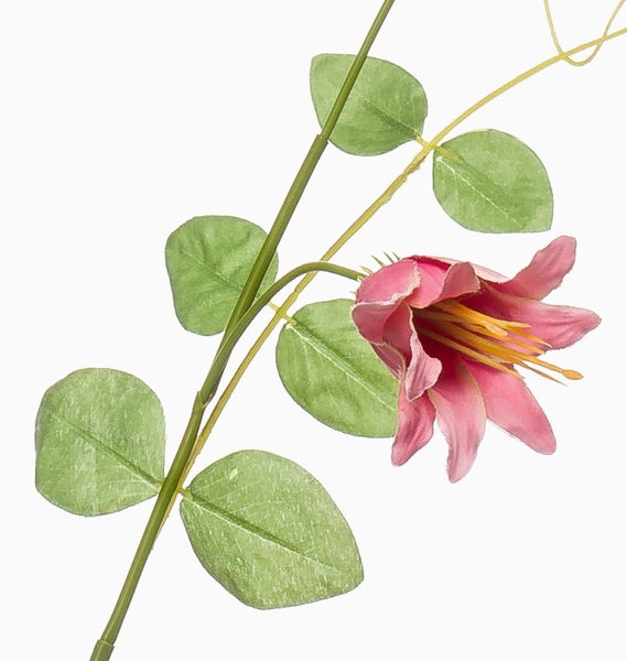 Künstliche Strelitzie Paradiesvogelblume mit orangefarbenen Blüten und grünem Stängel.