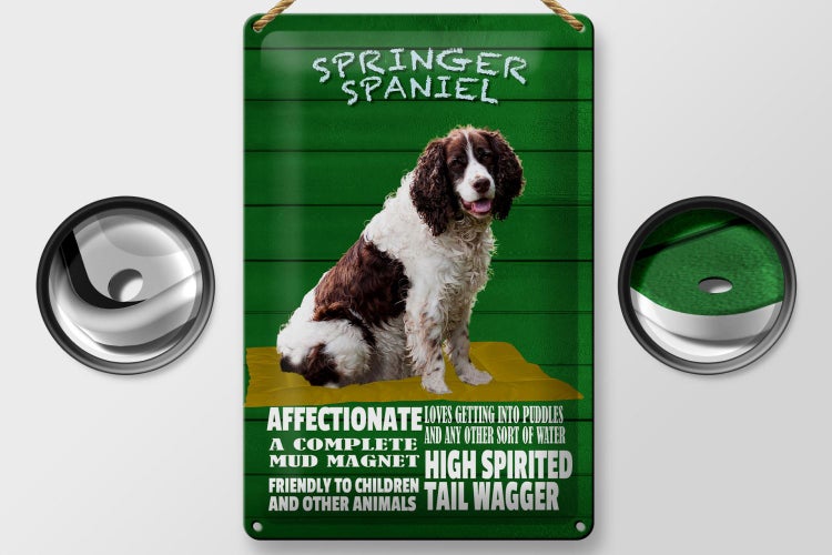 Blechschild Spruch 20x30cm Springer Spaniel Hund friendly