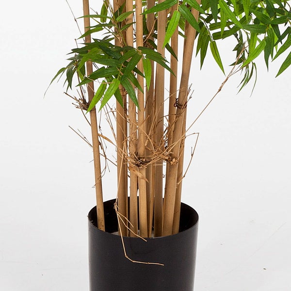 Künstliche Bambuspflanze mit naturgetreuen Halmen und grünen Blättern in einem schwarzen Topf.