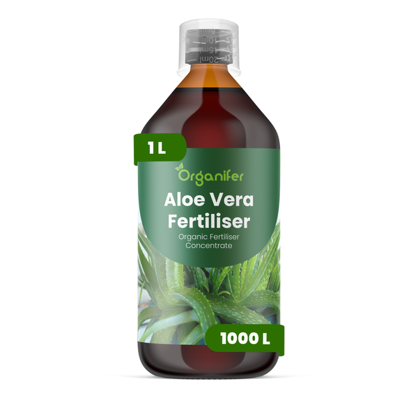 Organifer Aloe Vera Dünger, organisches Düngerkonzentrat, 1 Liter Flasche für 1000 Liter.