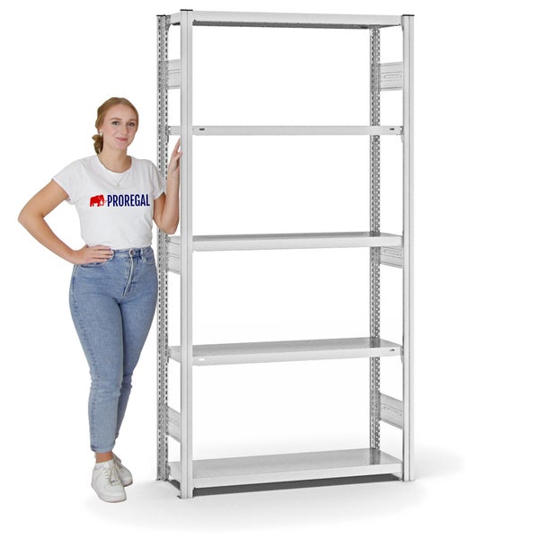 PROREGAL Fachbodenregal Stecksystem T-Profil Heavy-Duty Grundregal HxBxT 200 x 100 x 30 cm 5 Ebenen Fachlast 300 kg Beidseitig Nutzbar Lichtgrau