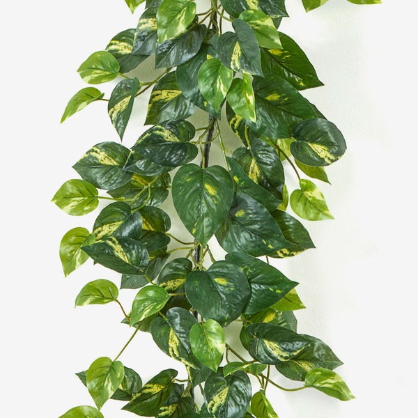 Künstliche Hängepflanze Efeutute mit grün-gelben Blättern.